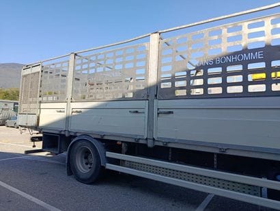 CAMION PLATEAU GRUE CAGE DAF 4X2 LF 290 FA...