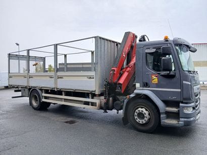 CAMION PLATEAU GRUE CAGE DAF 4X2 LF260FA...