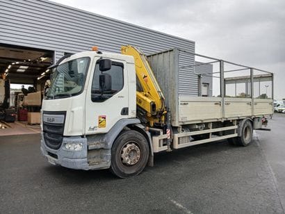 CAMION PLATEAU GRUE CAGE DAF 4X2 LF250FA...
