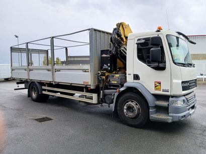 CAMION PLATEAU GRUE CAGE DAF 4X2 FA LF55...