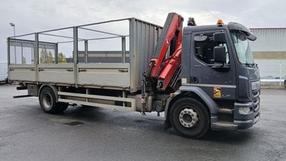 CAMION PLATEAU GRUE CAGE DAF 4X2 LF260FA...