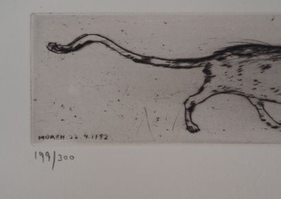 Mordecai MOREH
Le matin d'un chat : le chat...