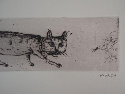 Mordecai MOREH
Le matin d'un chat : le chat...