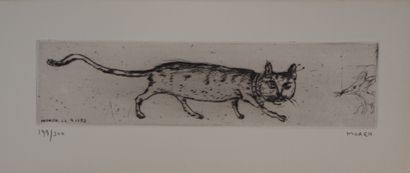 Mordecai MOREH
Le matin d'un chat : le chat...