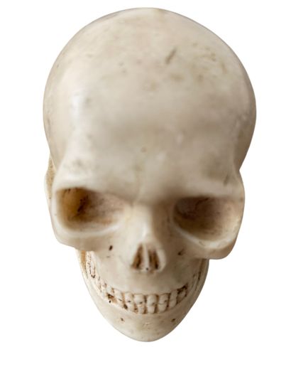 Momento Mori
