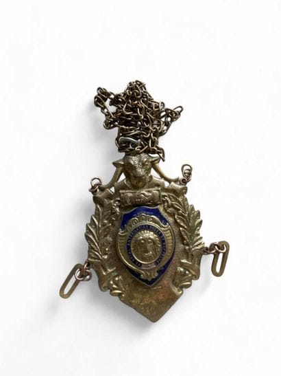 The Royal Antidiluvian Order of Buffalo 