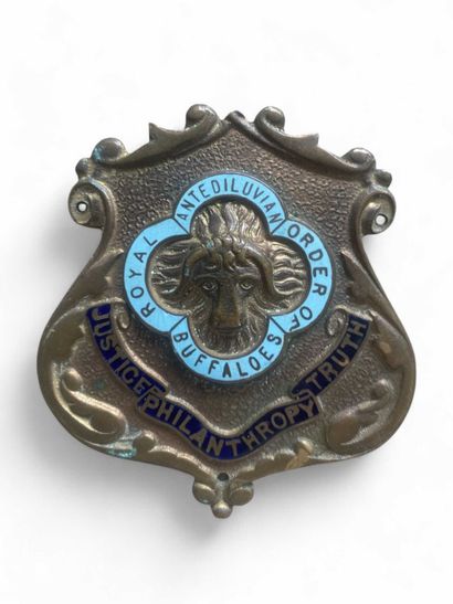 Tête de Buffle