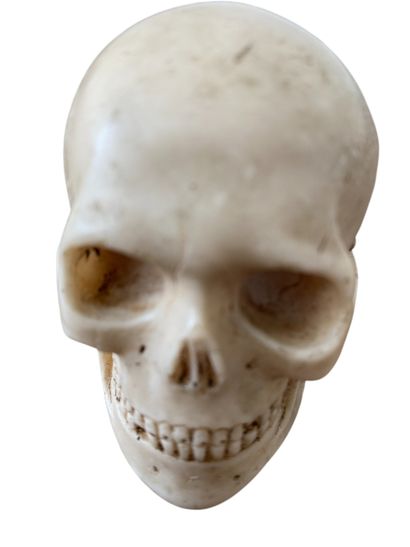 Momento Mori