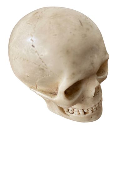 Momento Mori