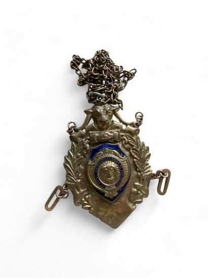 The Royal Antidiluvian Order of Buffalo 