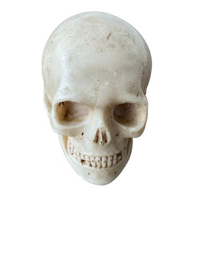 Momento Mori