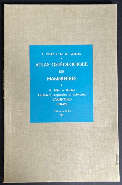 L. PALES et M. A. GARCIA
Atlas ostéologique...
