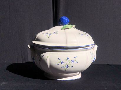 NIDERVILLER
Soupière en faïence à décor de...