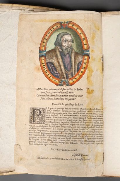 [Sixteenth-century book]. [Medicine; botany]....