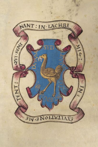 [Manuscript]. [Noblesse. Auvergne]. Confirmation...