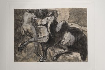 RODIN (Auguste). Les dessins de Auguste Rodin....