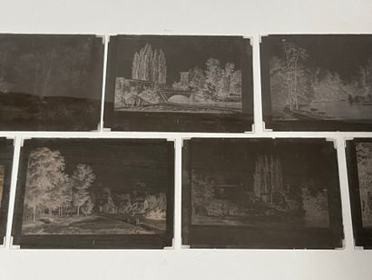 [Photography]. [Gardens]. [Views of the Maupertuis...