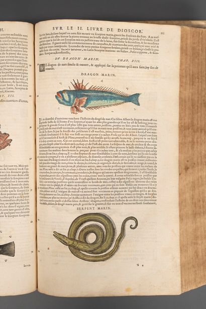 [Sixteenth-century book]. [Medicine; botany]....