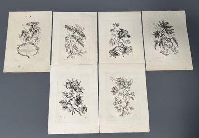 [Engraving]. [Ornament maker]. PILLEMENT...