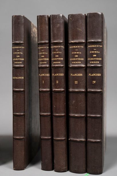 [Entomology]. JACQUELIN DU VAL (Camille),...