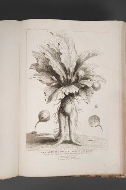 [Atlas]. MIGNE, ed. Atlas du Cours complet...