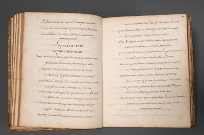 [Manuscript]. [Curiosa, gaudriole, satire]....