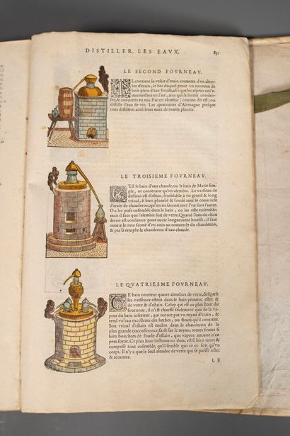 [Sixteenth-century book]. [Medicine; botany]....