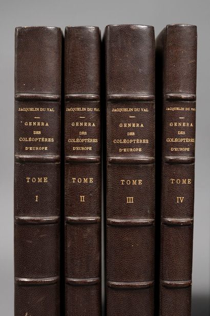 [Entomology]. JACQUELIN DU VAL (Camille),...
