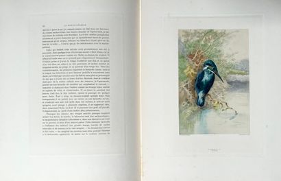 GIACOMELLI. THEURIET (André). Nos oiseaux....