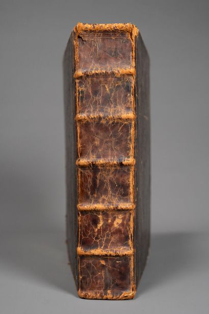 [Incunabula]. [Bible. Latin. 1495]. Liber...