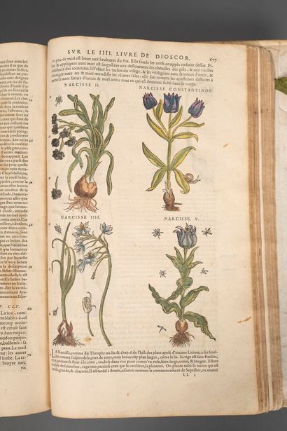 [Sixteenth-century book]. [Medicine; botany]....