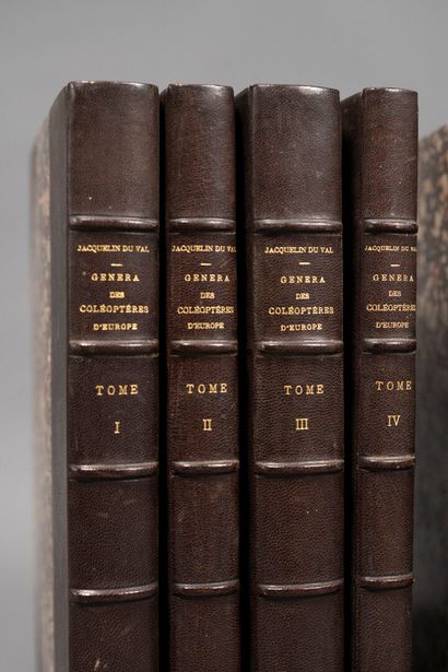 [Entomology]. JACQUELIN DU VAL (Camille),...