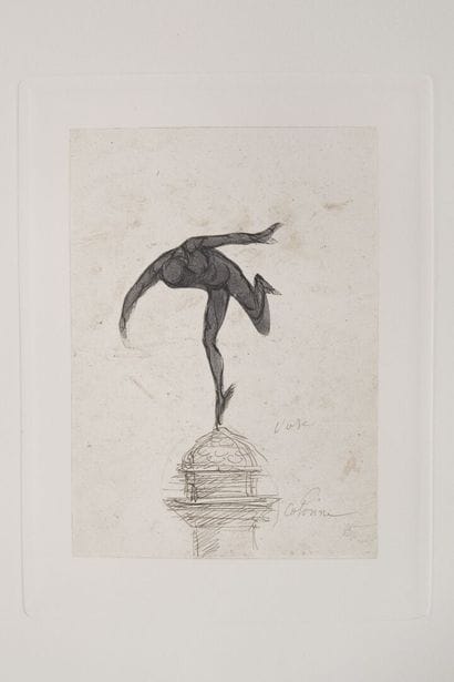 RODIN (Auguste). Les dessins de Auguste Rodin....