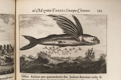 [China]. NIEUHOF (Johan). Legatio Batavica...
