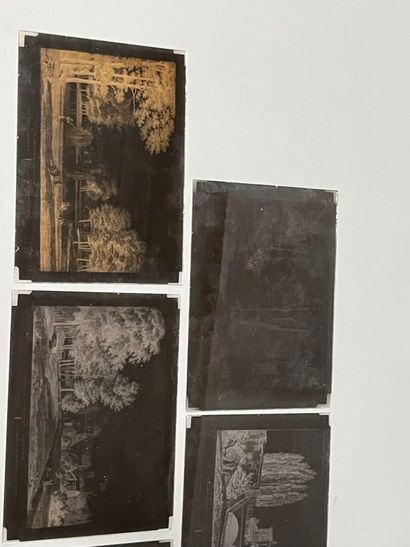 [Photography]. [Gardens]. [Views of the Maupertuis...