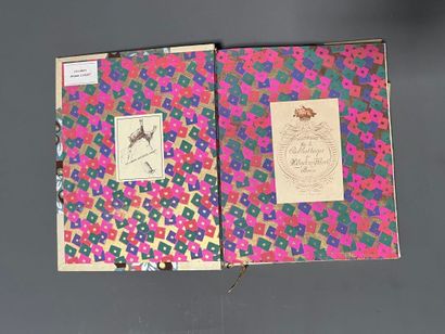 VAN HEURCK (E.) et G. J. BOEKENOOGEN. L'imagerie...