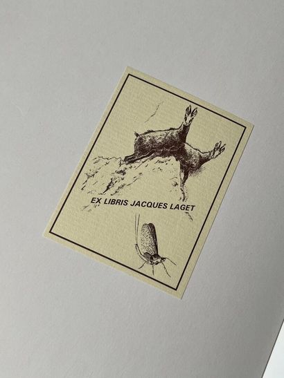 IMAGES DE CONFRÉRIES. Collection Louis Ferrand...