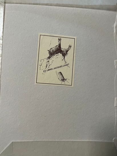 GERMANY (Henry-René d'). The noble game of...