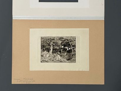 After Théodore ROUSSEAU (1812-1867) Chênes...