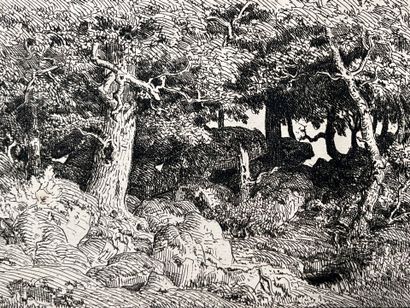 After Théodore ROUSSEAU (1812-1867) Chênes...