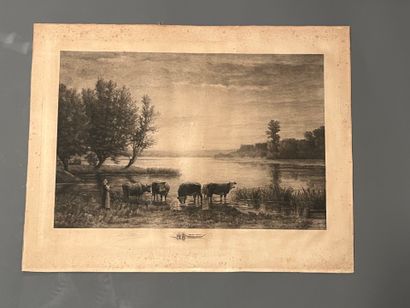 After Louis LETERRIER (1880-1958) Vaches...