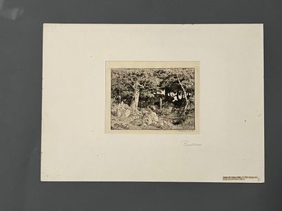 After Théodore ROUSSEAU (1812-1867) Chênes...