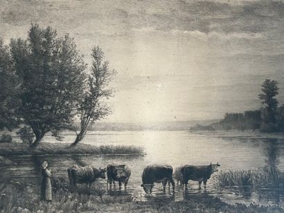 After Louis LETERRIER (1880-1958) Vaches...