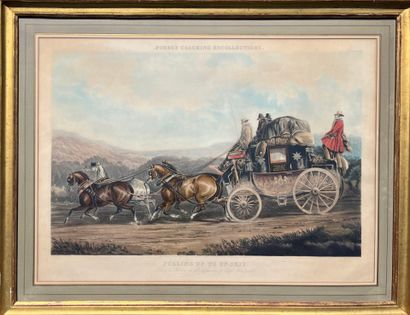 After Charles Cooper HENDERSON (1803-1877),...