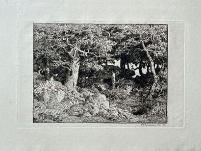 After Théodore ROUSSEAU (1812-1867) Chênes...