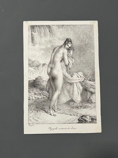 After Marie Philippe COUPIN de la COUPERIE...