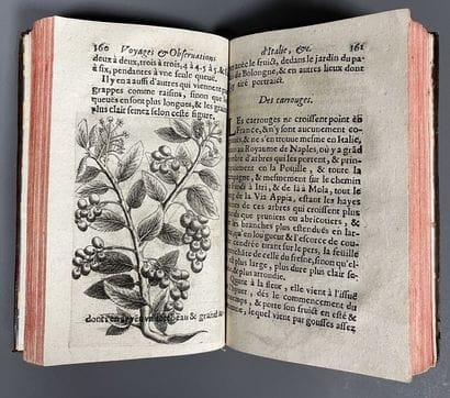 DUVAL (Pierre); AUDEBERT (Nicolas). Le voyage...