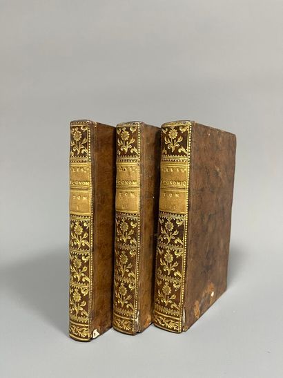 [MIRABEAU (Victor Riquetti de)]. Les économiques....