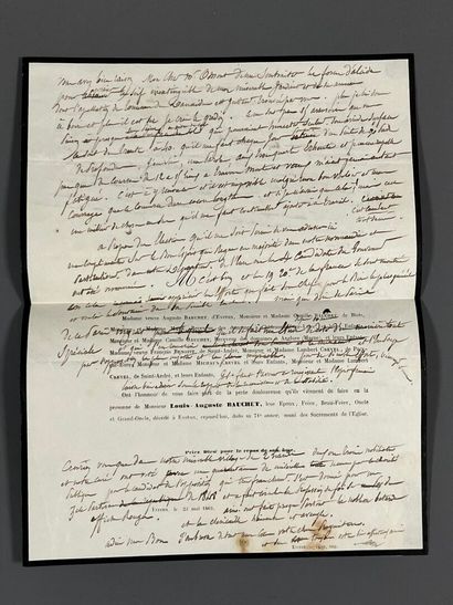 [Herbarium]. [Switzerland, Alps, Provence]....