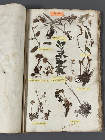[Herbarium]. [Switzerland, Alps, Provence]....